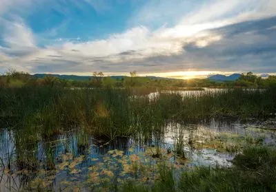 photo of marshy wetland in california at sunset